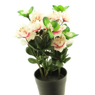 Artificial azalea JINGSHU, cream-pink, 10"/25cm