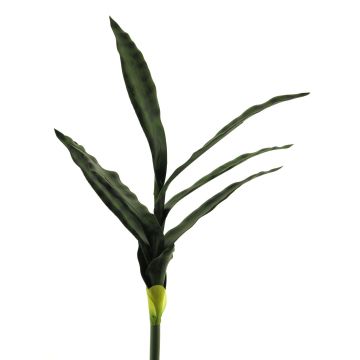 Decorative Sansevieria SUNLIN on spike, green, 24"/60cm Decorative Sansevieria SUNLIN on spike, green, 24"/60cm