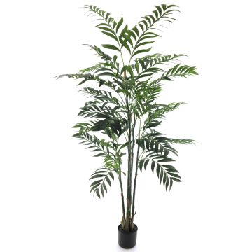 Decorative bamboo palm tree SHUNAN, 5ft/150cm Decorative bamboo palm tree SHUNAN, 5ft/150cm