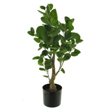 Plastic aralia plant SHANG, artificial trunk, green, 26"/65cm Plastic aralia plant SHANG, artificial trunk, green, 26"/65cm