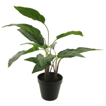 Plastic aglaonema XIPING, decorative pot, green, 20"/50cm