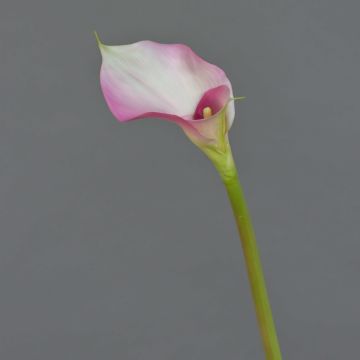 Silk calla MARIOLA, pink-white, 31"/80cm, Ø3.1"x6"/8x15cm Silk calla MARIOLA, pink-white, 31"/80cm, Ø3.1"x6"/8x15cm