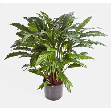 Artificial Calathea BAHATI, large, green, 33"/85cm