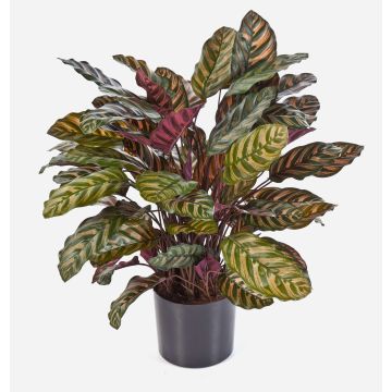 Fake Calathea BIJAN, large, green-red, 31"/80cm