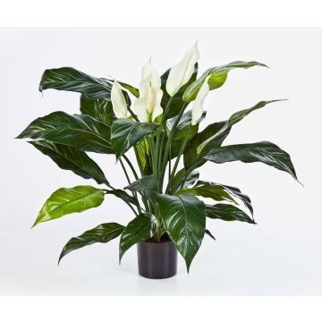 Fake Spathiphyllum ABBY, with flowers, white, 30"/75cm