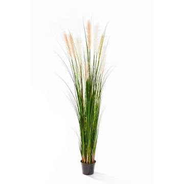 Fake wood small-reed KILIAN panicles, green-yellow-brown, 6ft/180cm