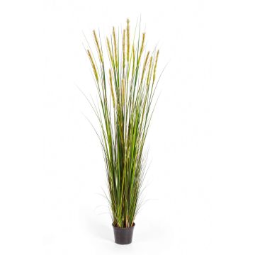 Fake foxtail grass FREDERIK with panicles, green-yellow, 6ft/180cm