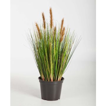 Fake foxtail grass FELIX with panicles, green-brown, 24"/60cm