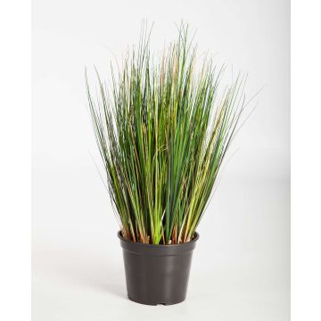 Fake foxtail grass FELIX, green, 24"/60cm