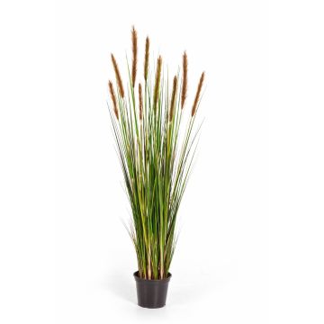 Fake foxtail grass FREDERIK with panicles, green-brown, 4ft/120cm