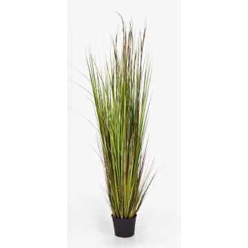 Fake foxtail grass SATRIO, green-yellow-brown, 5ft/150cm
