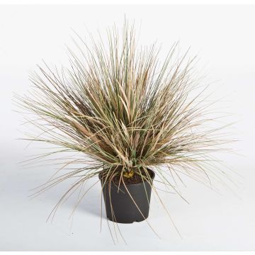 Artificial dune grass FABIAN, green-brown, 26"/65cm
