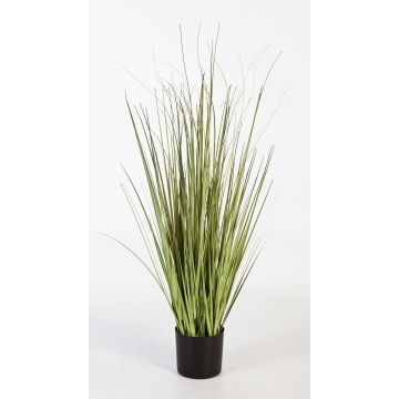 Silk sedge grass SABURO, green, 3ft/90cm