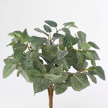 Artificial Fittonia JAMIRO, on spike, green-white, 14"/35cm