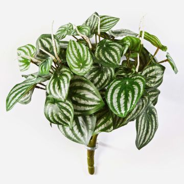 Artificial Fittonia JANDIRA, on spike, green-white, 12"/30cm