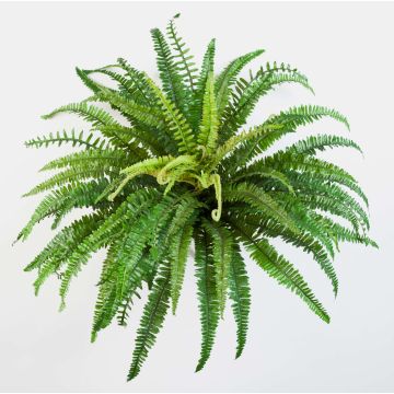 Artificial Lady fern LEAN, on spike, green, 24"/60cm, Ø 33"/85cm Artificial Lady fern LEAN, on spike, green, 24"/60cm, Ø 33"/85cm