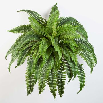 Fake Boston fern SAMUEL, on spike, green, 24"/60cm, Ø 3ft/90cm Fake Boston fern SAMUEL, on spike, green, 24"/60cm, Ø 3ft/90cm