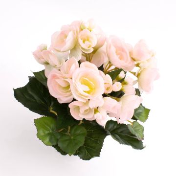 Silk begonia IVANA on spike, pink-white, 8"/20cm, Ø1.2"-2"/3-5cm