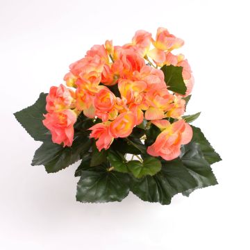 Silk begonia IVANA on spike, salmon, 8"/20cm, Ø1.2"-2"/3-5cm