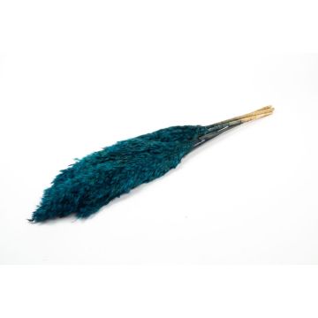 Dried reed bunch DONJETA, petrol, 28"-31"/70-80cm, Ø6"/15cm