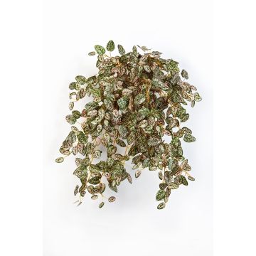 Artificial Polka dot plant MALAIKA, on spike, green-red, 20"/50cm