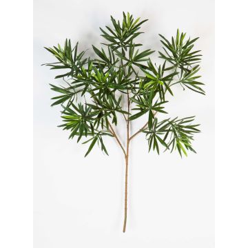 Artificial Podocarpus spray CHIKO, green, 26"/65cm Artificial Podocarpus spray CHIKO, green, 26"/65cm