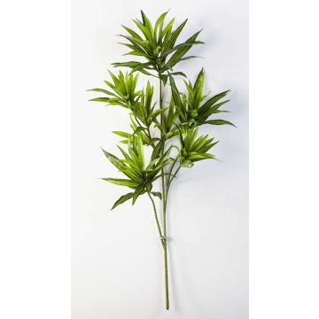 Artificial Dracaena reflexa branch MAYRA, green, 31"/80cm Artificial Dracaena reflexa branch MAYRA, green, 31"/80cm