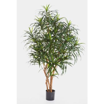 Fake Dracaena Anita KAYLIN, natural stems, green, 4ft/120cm Fake Dracaena Anita KAYLIN, natural stems, green, 4ft/120cm