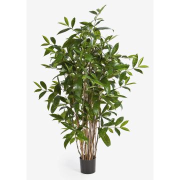 Plastic Dracaena Surculosa SIMBA, natural stems, green, 3ft/90cm Plastic Dracaena Surculosa SIMBA, natural stems, green, 3ft/90cm