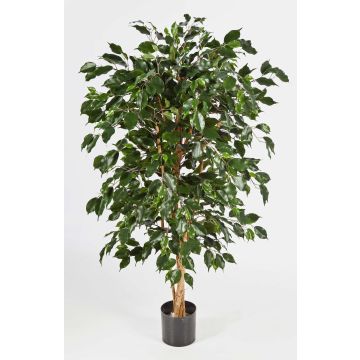 Fake Ficus Benjamina DECIO, natural stems, green, 5ft/150cm Fake Ficus Benjamina DECIO, natural stems, green, 5ft/150cm