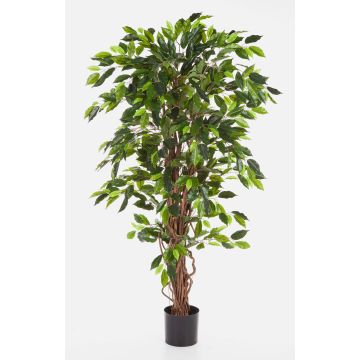 Artificial Ficus tree JARLAN, real stems, green, 6ft/180cm Artificial Ficus tree JARLAN, real stems, green, 6ft/180cm