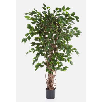 Fake Ficus tree AMELIO, natural stems, green, 7ft/210cm Fake Ficus tree AMELIO, natural stems, green, 7ft/210cm