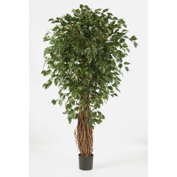 Fake Ficus tree LUCIUS, real stems, green, 4ft/120cm Fake Ficus tree LUCIUS, real stems, green, 4ft/120cm