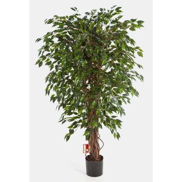 Artificial Ficus tree DAKU, natural stems, green, 5ft/150cm Artificial Ficus tree DAKU, natural stems, green, 5ft/150cm