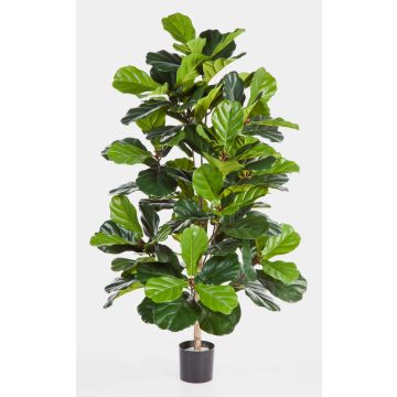 Fake Ficus tree MORENA, real stem, green, 4ft/130cm Fake Ficus tree MORENA, real stem, green, 4ft/130cm