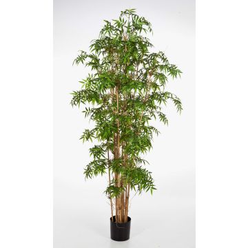 Fake Arrow bamboo KAITO, natural stems, green, 7ft/200cm