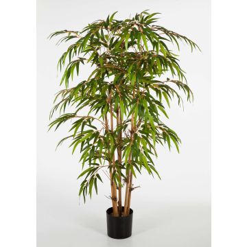 Plastic Bamboo plant HIROSHI, natural bamboo canes, green, 5ft/150cm