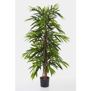 Fake Ficus Longifolia AKUMO, real stems, green, 7ft/210cm Fake Ficus Longifolia AKUMO, real stems, green, 7ft/210cm