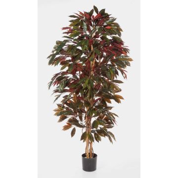 Artificial Croton CARA, natural stems, green-red, 6ft/180cm Artificial Croton CARA, natural stems, green-red, 6ft/180cm