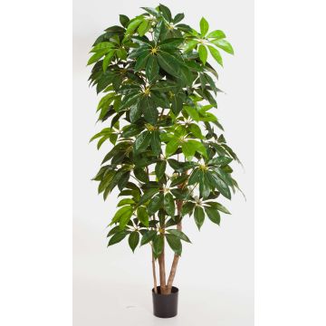 Artificial Schefflera COOPER, real stems, green, 7ft/220cm