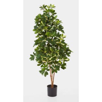 Artificial Schefflera SAMANTHA, real stems, green-white, 5ft/140cm