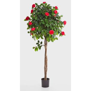Fake Camellia tree ERINA, real stems, with flowers, pink, 4ft/130cm Fake Camellia tree ERINA, real stems, with flowers, pink, 4ft/130cm