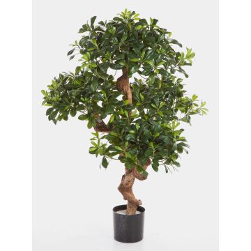 Artificial Pittosporum ETHAN, natural stem, 4ft/120cm Artificial Pittosporum ETHAN, natural stem, 4ft/120cm