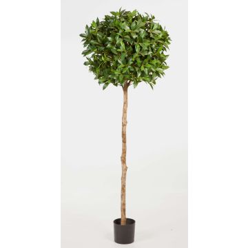 Fake Laurel ball tree CAIUS, real stem, green, 5ft/140cm, Ø 16"/40cm Fake Laurel ball tree CAIUS, real stem, green, 5ft/140cm, Ø 16"/40cm