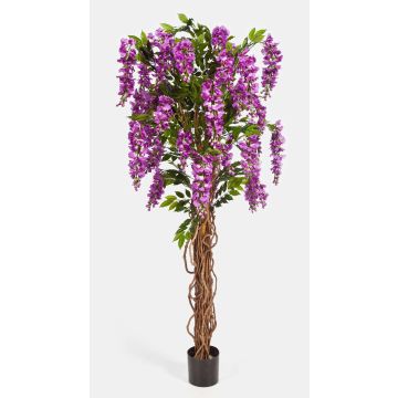 Artificial Wisteria ARIANA, real stems, blooms, purple, 6ft/180cm Artificial Wisteria ARIANA, real stems, blooms, purple, 6ft/180cm