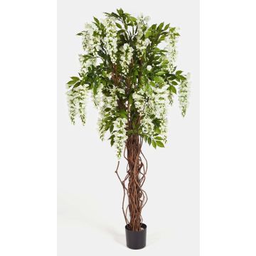 Artificial Wisteria ARIANA, real stems, blooms, white, 6ft/180cm Artificial Wisteria ARIANA, real stems, blooms, white, 6ft/180cm