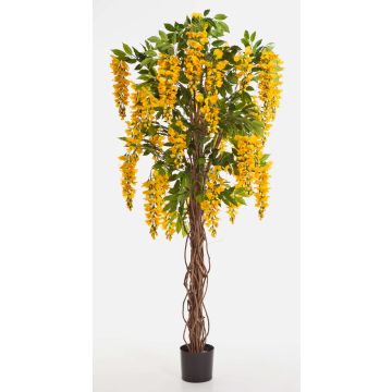 Artificial Laburnum tree ARIANA, real stems, blooms, yellow, 6ft/180cm Artificial Laburnum tree ARIANA, real stems, blooms, yellow, 6ft/180cm