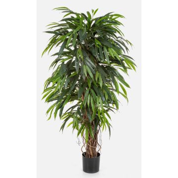 Fake Ficus Longifolia PARI, natural stems, green, 7ft/210cm Fake Ficus Longifolia PARI, natural stems, green, 7ft/210cm