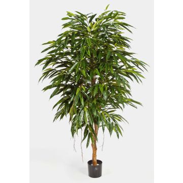Fake Ficus Longifolia HISA, natural stem, green, 7ft/210cm Fake Ficus Longifolia HISA, natural stem, green, 7ft/210cm