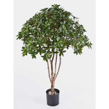 Artificial Spindle tree RIKU, natural stems, green-white, 4ft/120cm, Ø 3ft/100cm Artificial Spindle tree RIKU, natural stems, green-white, 4ft/120cm, Ø 3ft/100cm